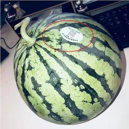 78网红吃瓜网,78网红吃瓜网带你领略娱乐圈幕后风云