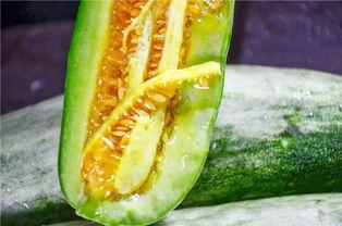 网红周立珊吃瓜视频